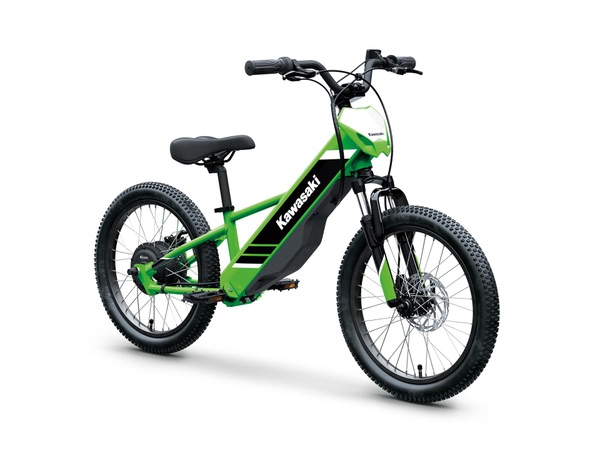 Kawasaki Elektrode 20
